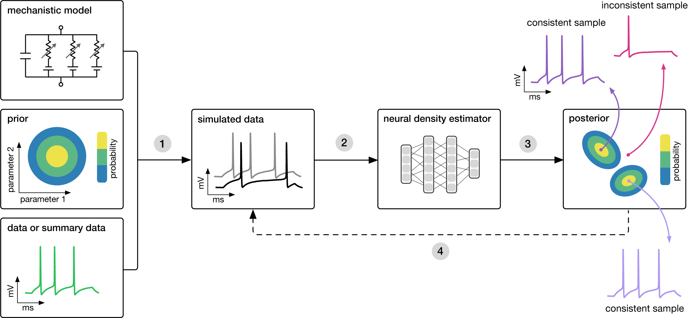 Conceptual diagram for simulation-based inference. It depicts a model, prior distribution, simulated data, neural density estimator, and posterior distribution. The process includes a feedback loop using the estimated posterior distribution to adaptively generate additional informative simulations. The diagram also illustrates consistent and inconsistent samples.